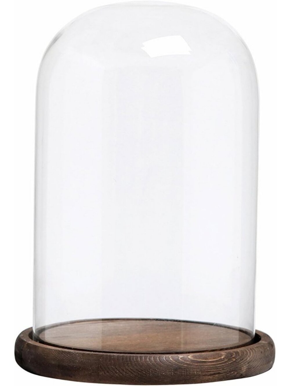 Rustic Glass Bell Jar Cloche Display Dome with Burnt Wood Base for Home Decor